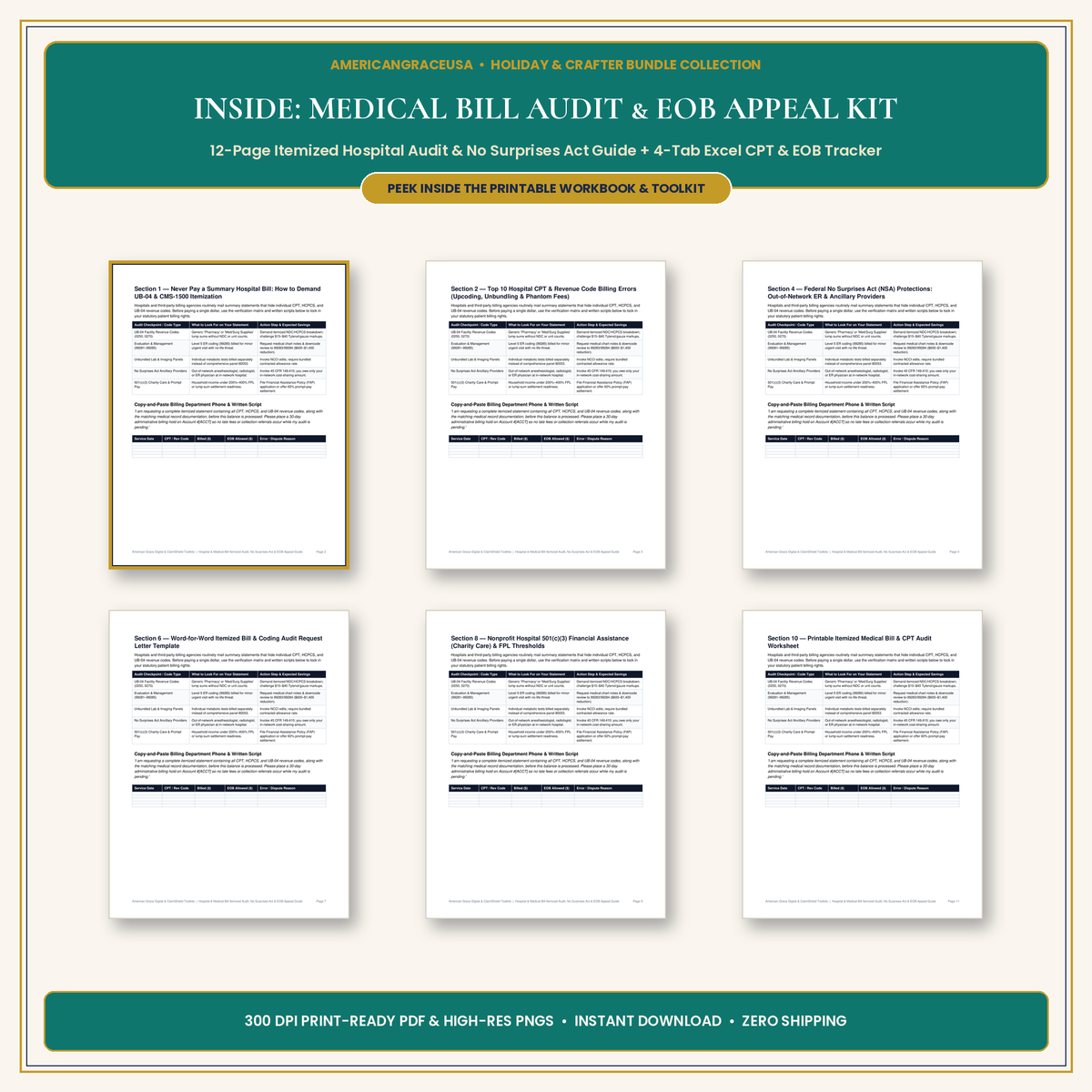 Hospital & Medical Bill Itemized Audit & EOB Appeal Kit Inside Spreads & Excel Preview