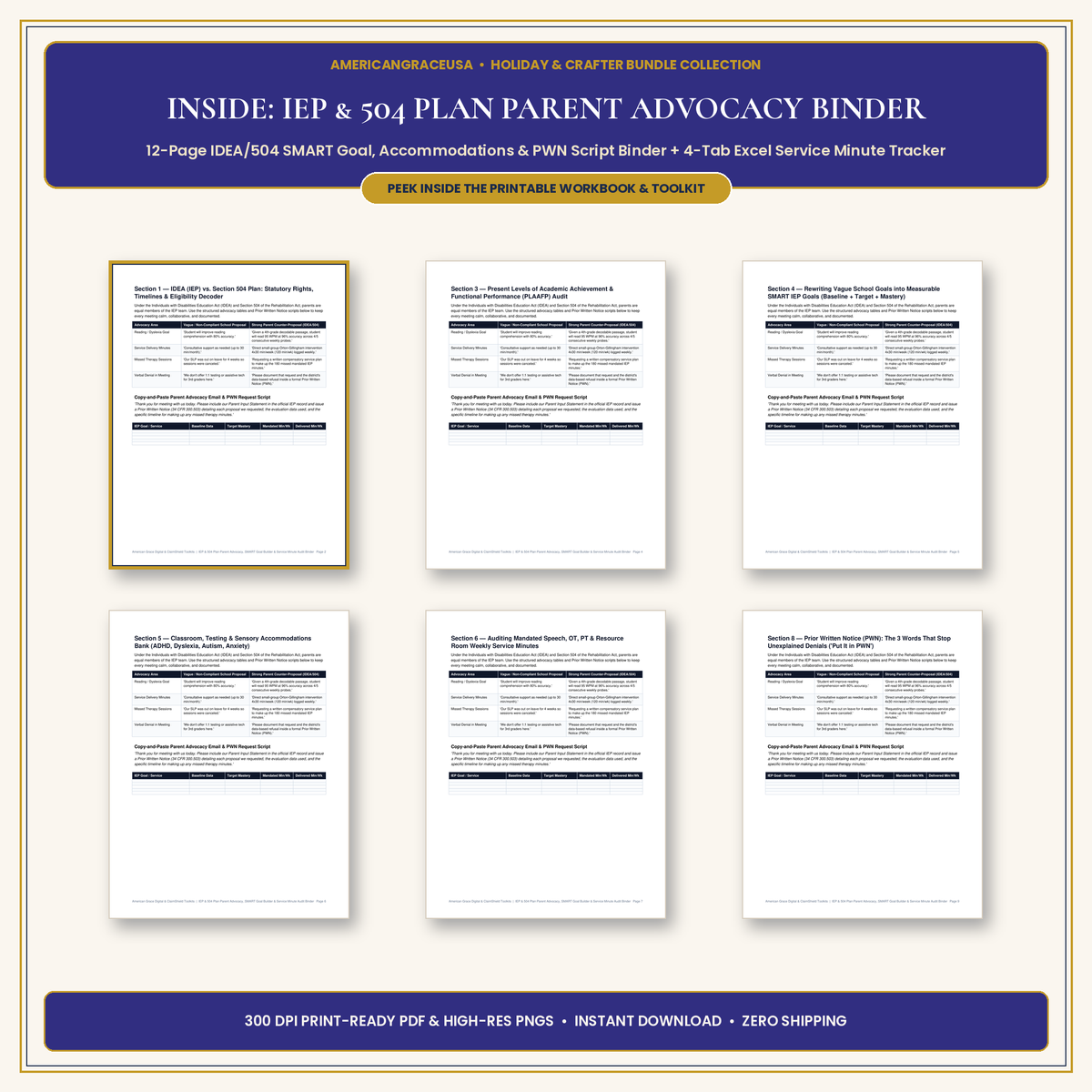 IEP & 504 Plan Parent Advocacy Binder Inside Spreads & Excel Preview